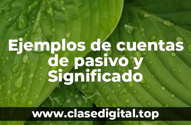 Ejemplos de cuentas de pasivo y Significado