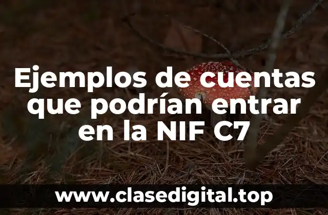 Ejemplos de cuentas que podrían entrar en la NIF C7