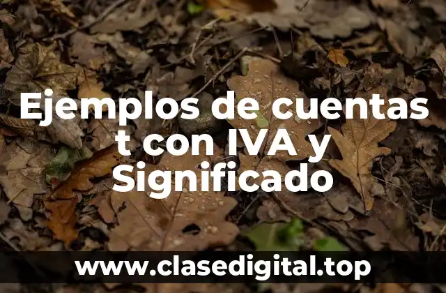 Ejemplos de cuentas t con IVA y Significado