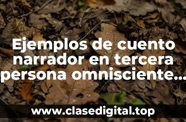 Ejemplos de cuento narrador en tercera persona omnisciente