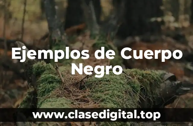 Ejemplos de Cuerpo Negro