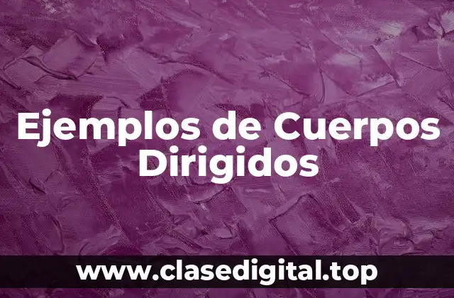 Ejemplos de Cuerpos Dirigidos
