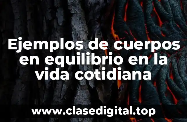 Ejemplos de cuerpos en equilibrio