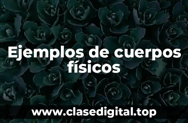 Ejemplos de cuerpos físicos