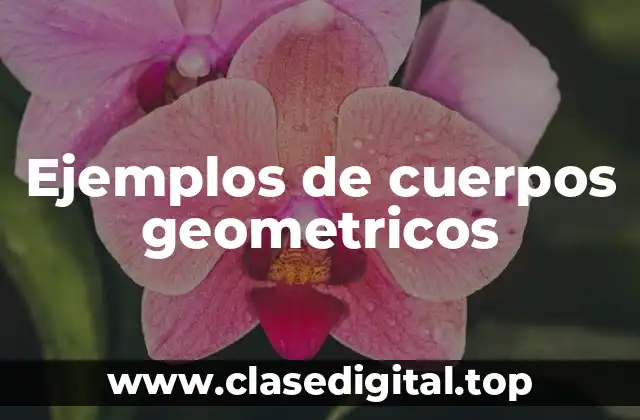 Ejemplos de cuerpos geometricos