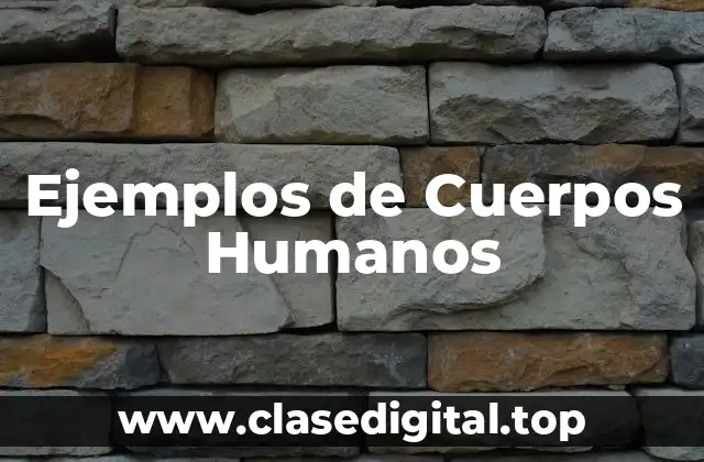 Ejemplos de Cuerpos Humanos