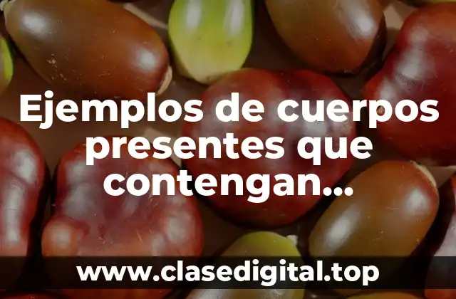 Ejemplos de cuerpos presentes que contengan carbohidratos y Significado
