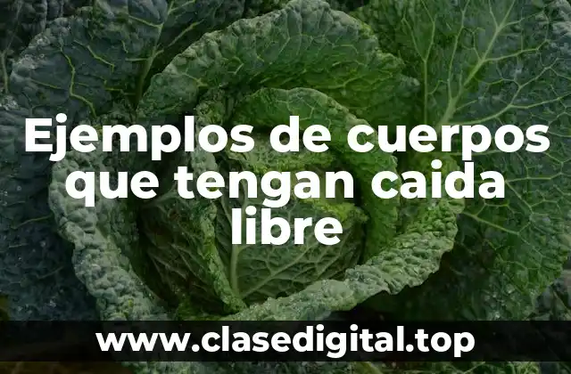 Ejemplos de cuerpos que tengan caida libre
