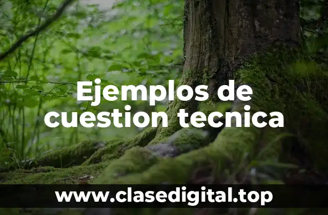 Ejemplos de cuestion tecnica