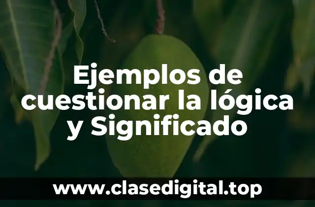 Ejemplos de cuestionar la lógica