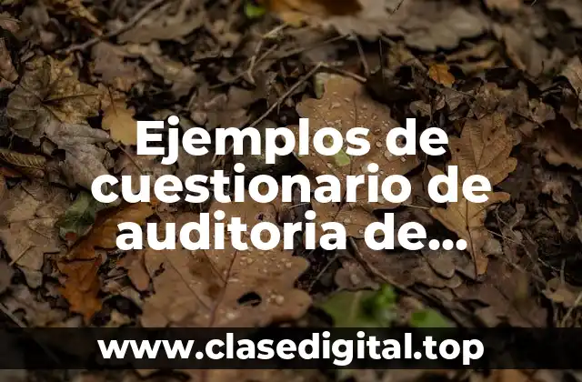 Ejemplos de cuestionario de auditoria de recursos humanos y Significado