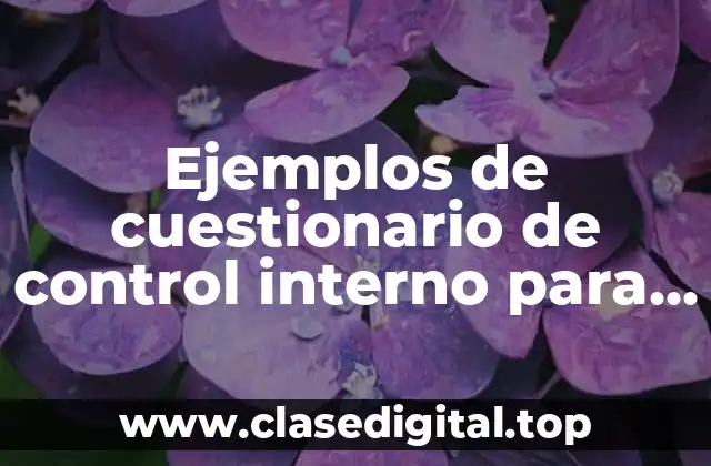 Ejemplos de cuestionario de control interno para ventas