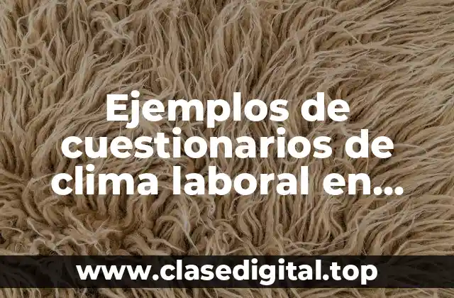 Ejemplos de cuestionarios de clima laboral en México