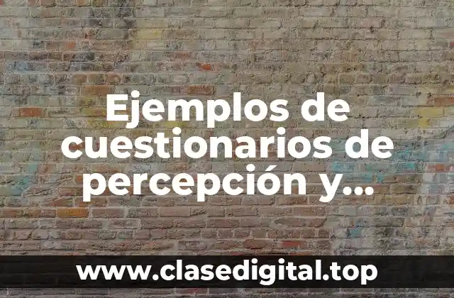 Ejemplos de cuestionarios de percepción y sensación