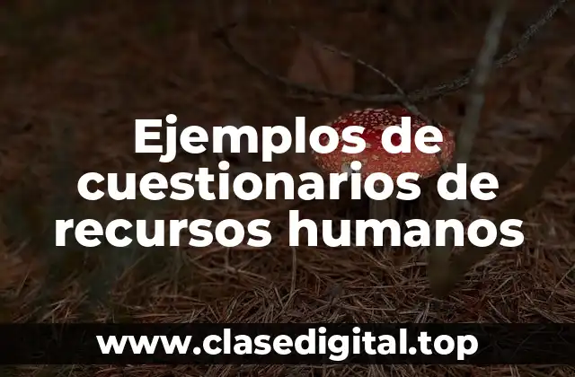 Ejemplos de cuestionarios de recursos humanos