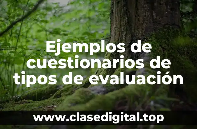 Ejemplos de cuestionarios de tipos de evaluación