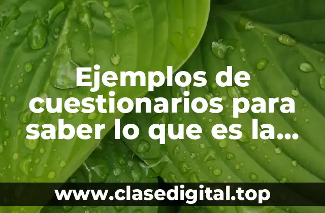 Ejemplos de cuestionarios para saber lo que es la investigación