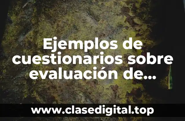 Ejemplos de cuestionarios sobre evaluación de compañías