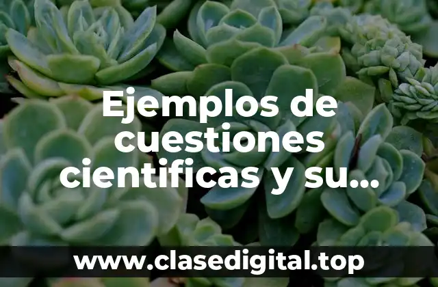 Ejemplos de cuestiones cientificas y su relación con la filosofia y Significado