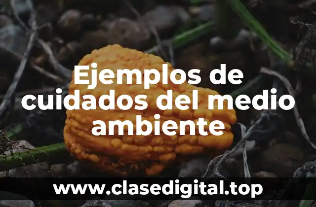 Ejemplos de cuidados del medio ambiente