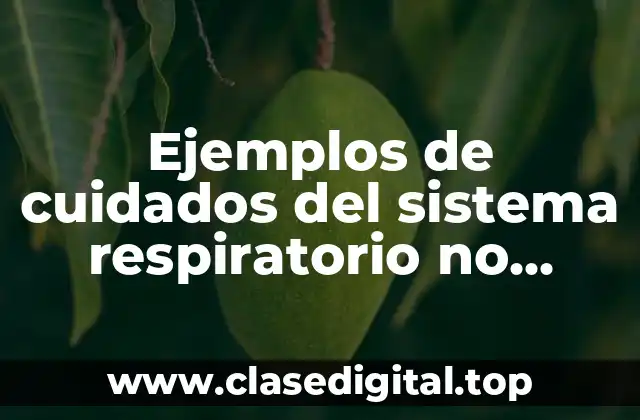 Ejemplos de cuidados del sistema respiratorio no fumar y Significado