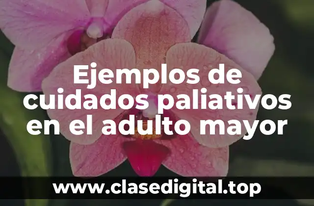 Ejemplos de cuidados paliativos en el adulto mayor
