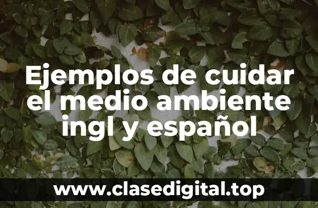 Ejemplos de cuidar el medio ambiente ingl y español
