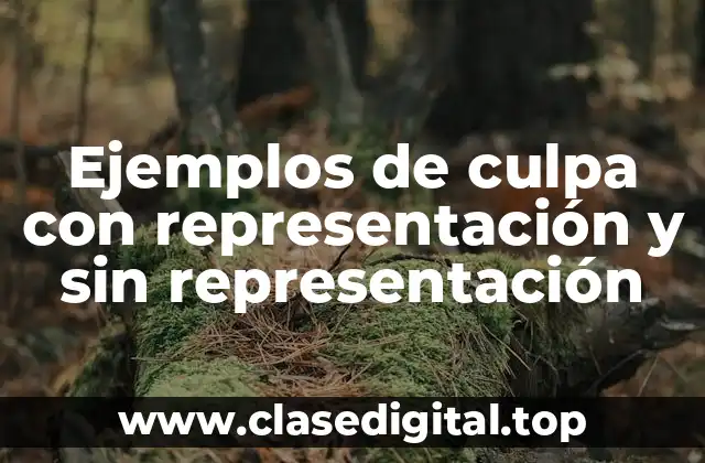 Ejemplos de culpa con representación y sin representación