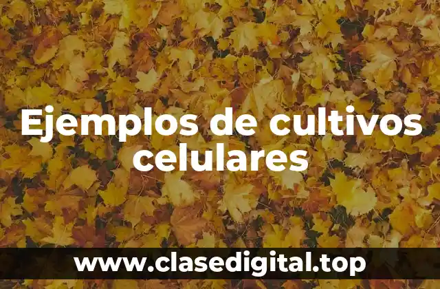Ejemplos de cultivos celulares