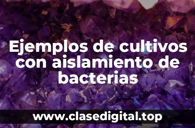 Ejemplos de cultivos con aislamiento de bacterias