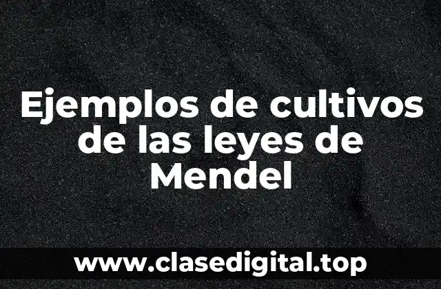 Ejemplos de cultivos de las leyes de Mendel