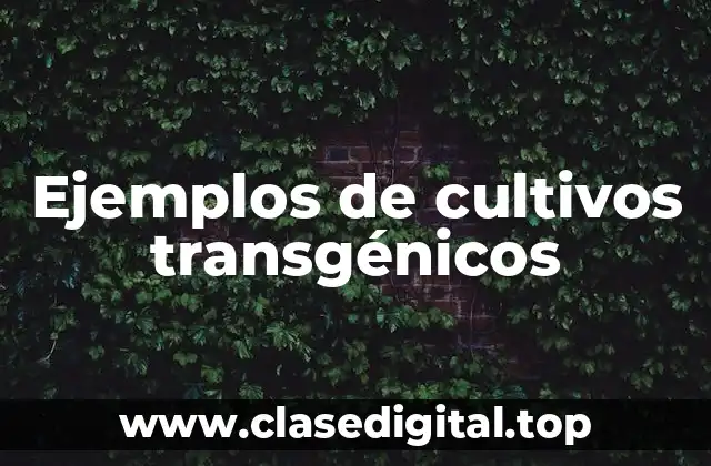 Ejemplos de cultivos transgénicos