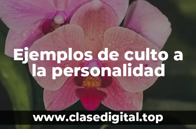 Ejemplos de culto a la personalidad
