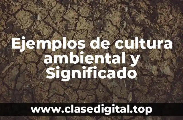 Ejemplos de cultura ambiental y Significado