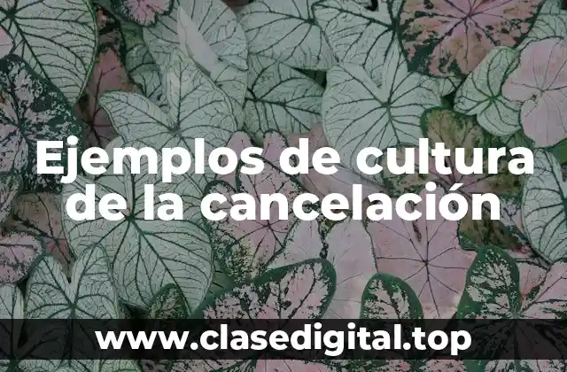 Ejemplos de cultura de la cancelación