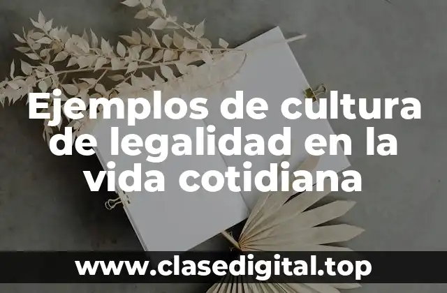 Ejemplos de cultura de legalidad en la vida cotidiana