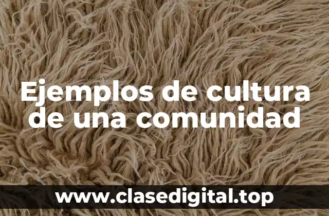 Ejemplos de cultura de una comunidad