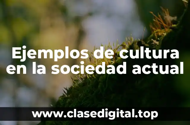Ejemplos de cultura en la sociedad actual