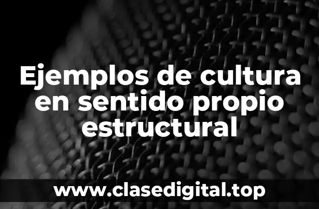 Ejemplos de cultura en sentido propio estructural