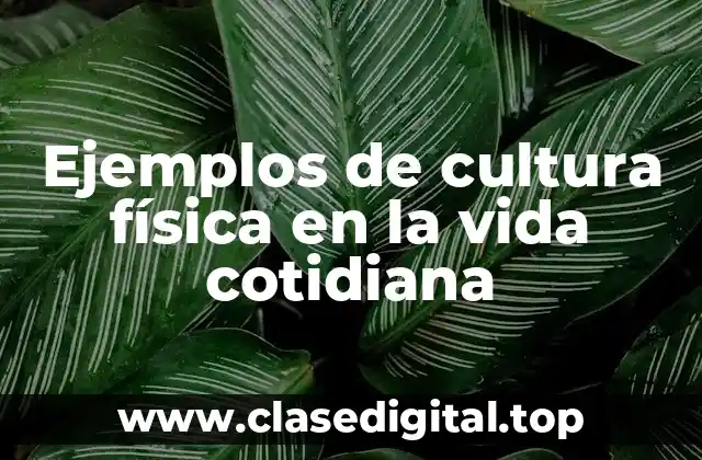 Ejemplos de cultura física en la vida cotidiana