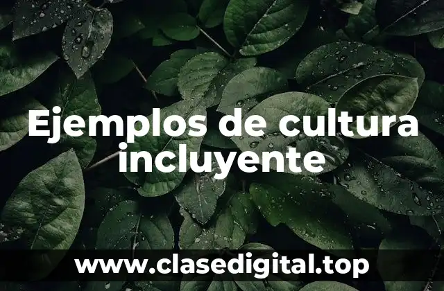 Ejemplos de cultura incluyente