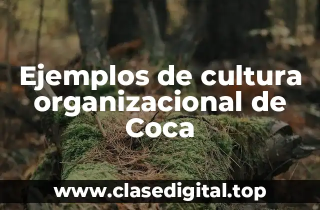 Ejemplos de cultura organizacional de Coca-Cola