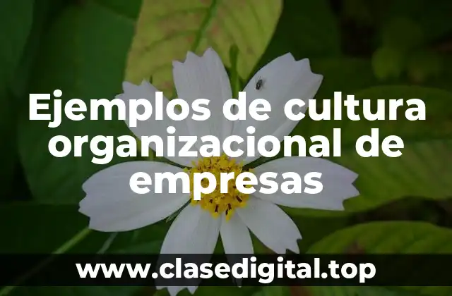 Ejemplos de cultura organizacional de empresas