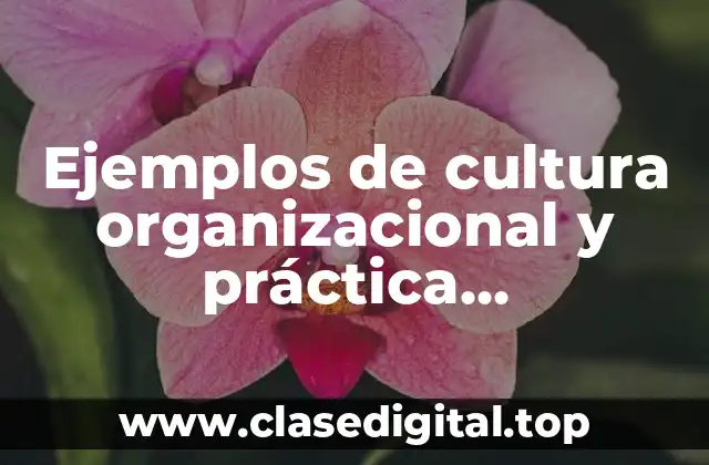 Ejemplos de cultura organizacional y práctica administrativa