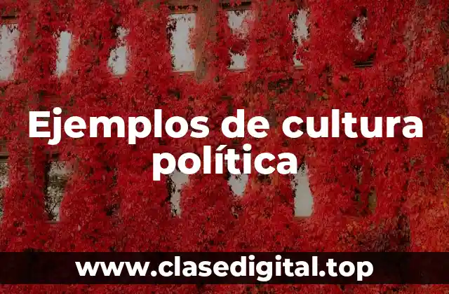 Ejemplos de cultura política