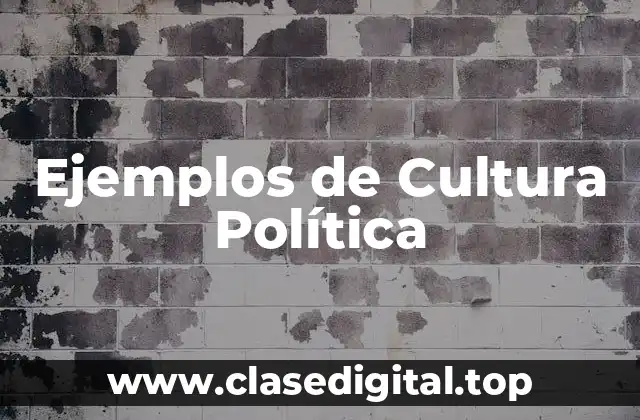 Ejemplos de Cultura Política