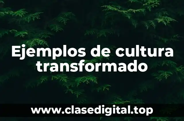 Ejemplos de cultura transformado