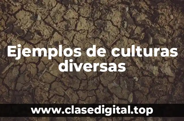 Ejemplos de culturas diversas