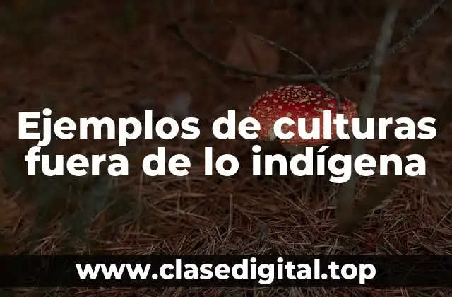 Ejemplos de culturas fuera de lo indígena