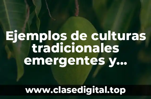 Ejemplos de culturas tradicionales emergentes y contemporáneas